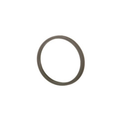 Termostato tarpinė 504030960FPT