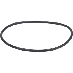 Termostato sandariklis 1000182321