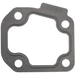 Termostato tarpinė 1000310884