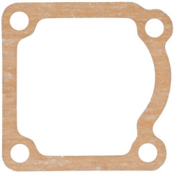 Termostato tarpinė 1000200061