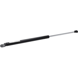 Dujinė amortizatorinė amortizatorė RD80946880