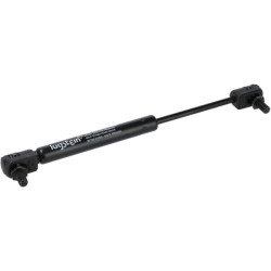 Dujinė amortizatorė 1000222662