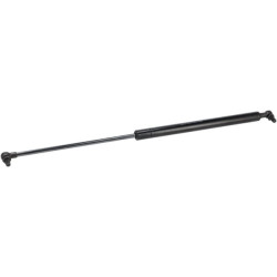 Dujinė amortizatorė 1000222747