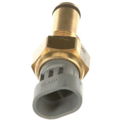 Siųstuvas 500346074FPT