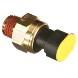 Jutiklis 504273290FPT