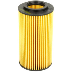 Variklio alyvos filtras 1000337858