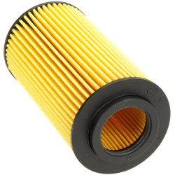 Variklio alyvos filtras 1000337858