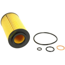 Variklio alyvos filtras 1000337858