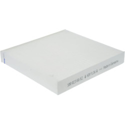 Kabinos filtras 1000236662