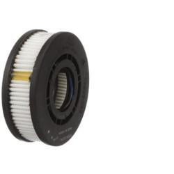 Oro alsuoklio filtras 5801686484FPT