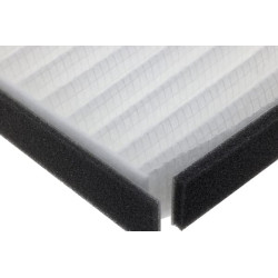 Kabinos oro filtras 2A59791551