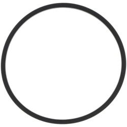 Hidraulinė filtro tarpinė W21CKT0955