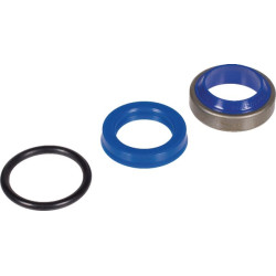 Sandarinimo komplektas TBV cilindrui C2K99973289 RAVDS001