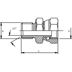 Adapteris V/F 3/4 x1 BSP VNBW1216