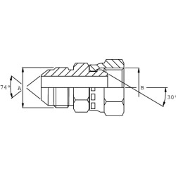 Adapteris V/F 3/4 JIC x 3/8 BSP VNJBW1206