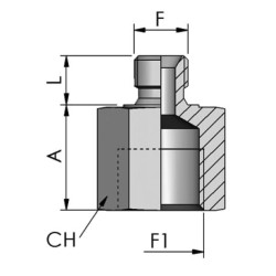 Adapteris V/F 3/8 BSP M14 VRBM0614