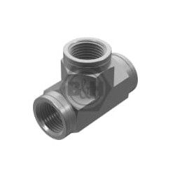 T formos smeigė F 3/8 BSP TBB06