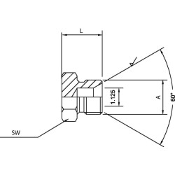 Kūginis kamštis šešiakampis 5/8 BSP VSZ10