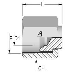 Galinis kamštis 9/16 JIC PF09