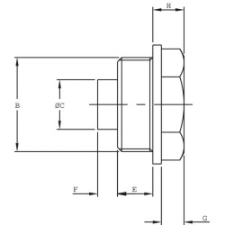 Magnetinis kištukas 1" BSP TKM16