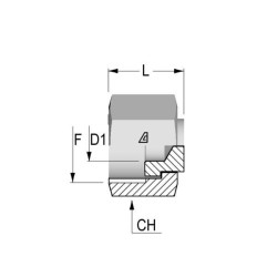 Galinis elementas PFO32