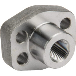 SAE flanšas AFS308G06