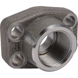 SAE flanšas AFS316G16