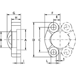Nupjauta skaldyta flagne SAE AFH320