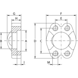 Pusinė flanšo dalis SAE 6000 3/4 GFSI612M