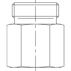Jungtis 12L R1/2 GAS12LR12