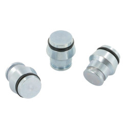 Galinis kamštis 12L M18x1,5 - 50 vnt. VS12LP050KR