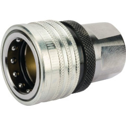 Greito atjungimo jungtis 3/4" BSP vidinė Tema 751134TE
