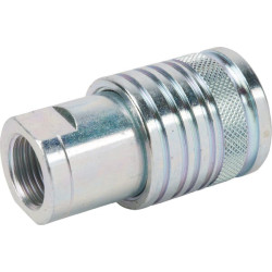 Movinė jungtis IG 1/2" SKPF12C08N