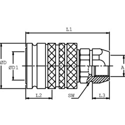 Mova su sriegiu 3/8-3/8" BSP SKPF10C06
