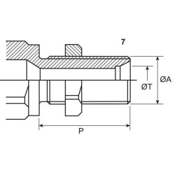 Greito sujungimo jungtis 1"-3/4" BSP vidinė CNV CNV1634GASM