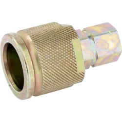 Greito atjungimo jungtis, išorinis 1/4" SKSM06C04