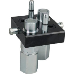 „Multifaster“ DN20-2 x 3/4" BSPP judančios dalies kamštis 3P510234GMC