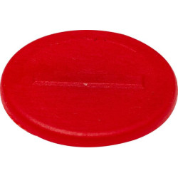 Spalvotas segtukas raudonas - IDRM