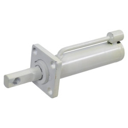 CW10 greito atleidimo cilindras CWP10CD40