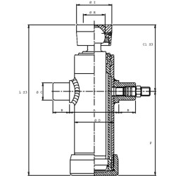 Teleskopinis cilindras TC 4021 su rutuline galvute TC4021