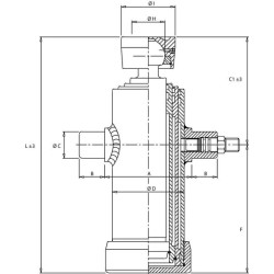 Teleskopinis cilindras TC 3031 su rutuline galvute TC3031