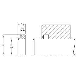 Valytuvo strypas ASR 24x16x4/7mm 10DSR16UP