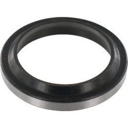 Valytuvo strypas ASM 45x60x7/10mm ASM45607