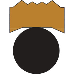 Stūmoklio riebokšlis 125x109.5x6.3mm Hallite ZAS125109563T764