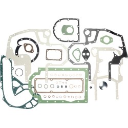 Case - IH 440 3136802R98ELR Karterio tarpiklių komplektas Case - IH