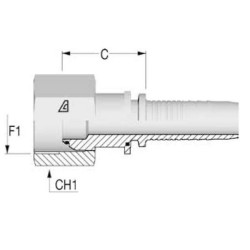 Įdėklas F NS-DN20-1" BSP DKRNS2016G2