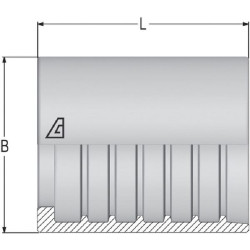 Antgalis Ø17x26,5 mm DN6 Plienas / cinkuotas Alfagomma SFATP006