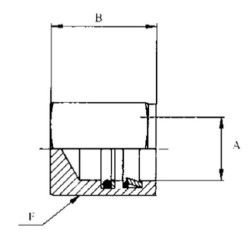 Jungiamoji jungtis 13 mm WEO148110600