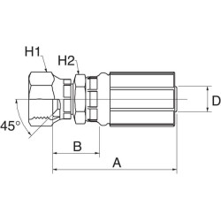 Įdėklas DN10-5/8 SAE 45 6G6FSX