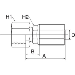 Įdėklas DN19-1"3/16ORFS 12G12FFORX